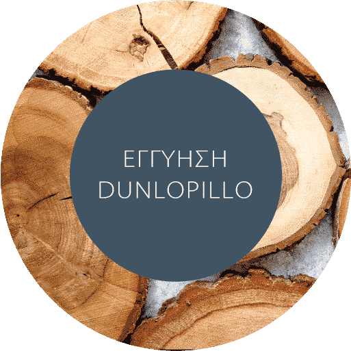 2021_DUNLOPILLO_MY_DUNLOPILLO_ICON_06